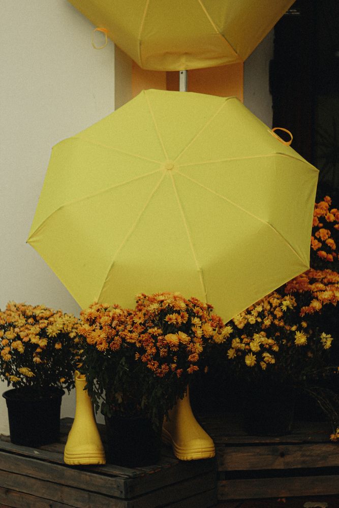 Photograph by Алиса Исаева