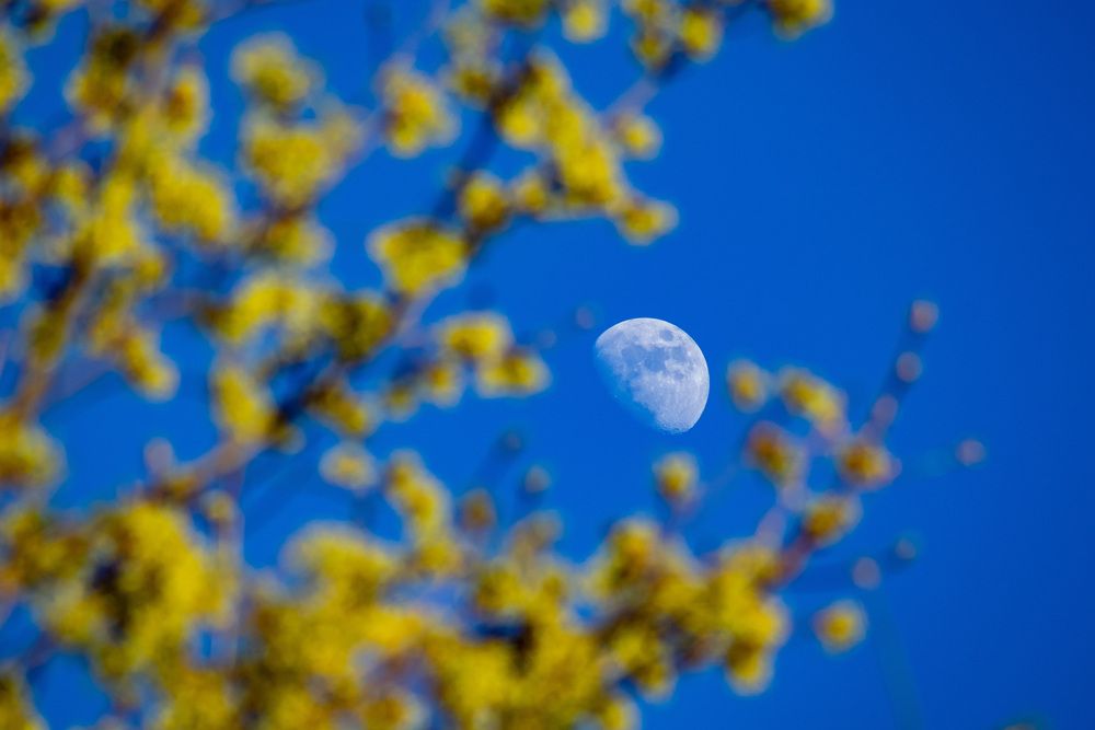 Photograph by andrey denisov