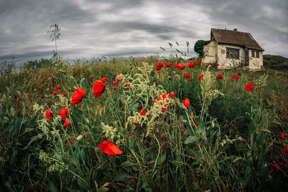 Photograph by Андрей Котенко