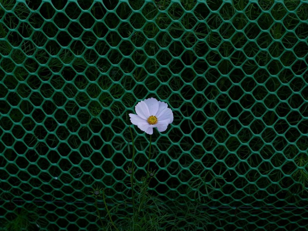 Photograph by Souvik Manna