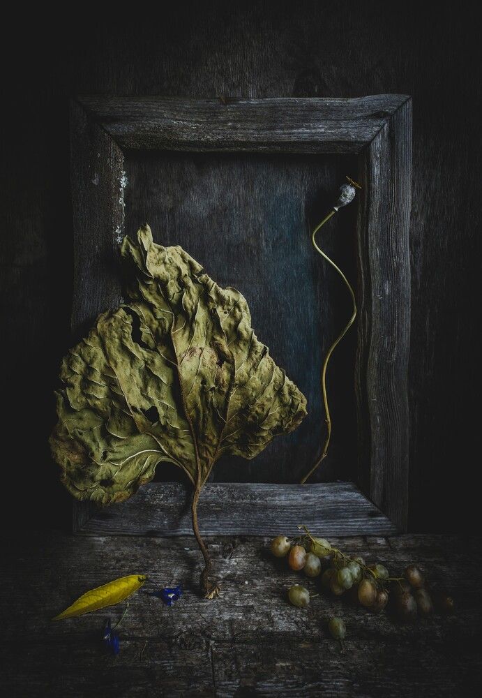 Photograph by Tатьяна Дин
