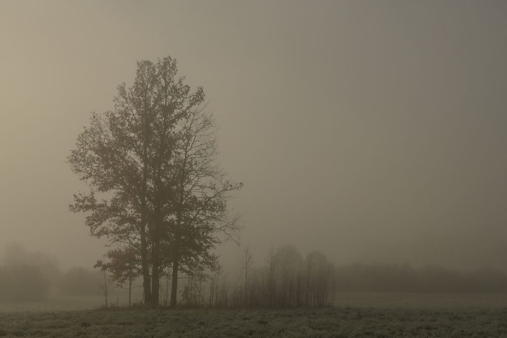 Photograph by Виктория Шажко