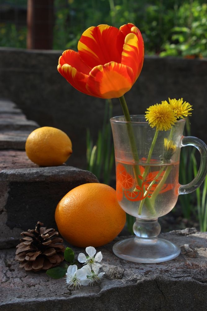 Photograph by Светлана Шубина