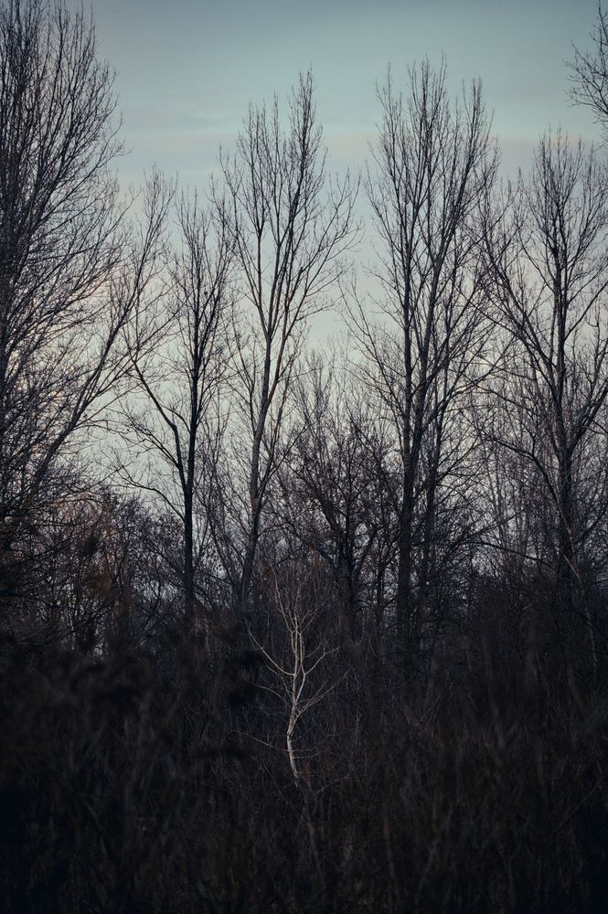 Photograph by Эдгар Черкасов