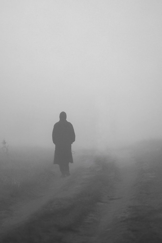 Photograph by Сергей Конюшенко