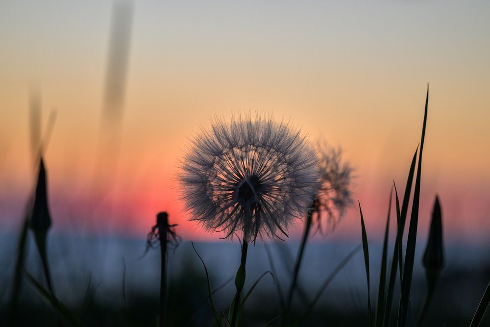 Photograph by Andrey Nuzhdin