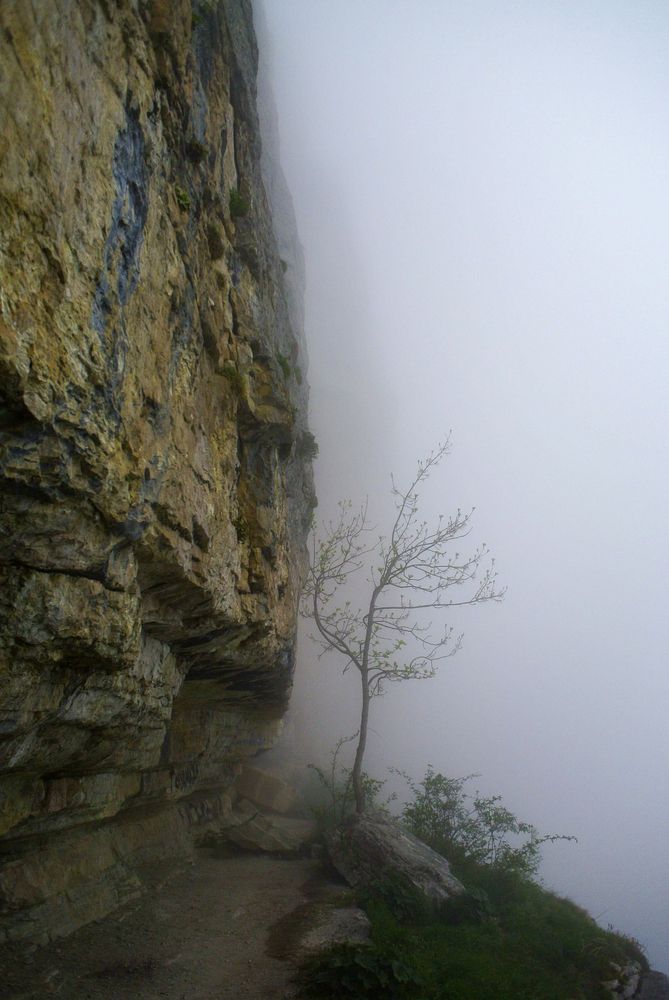 Photograph by Aндрей Иванов