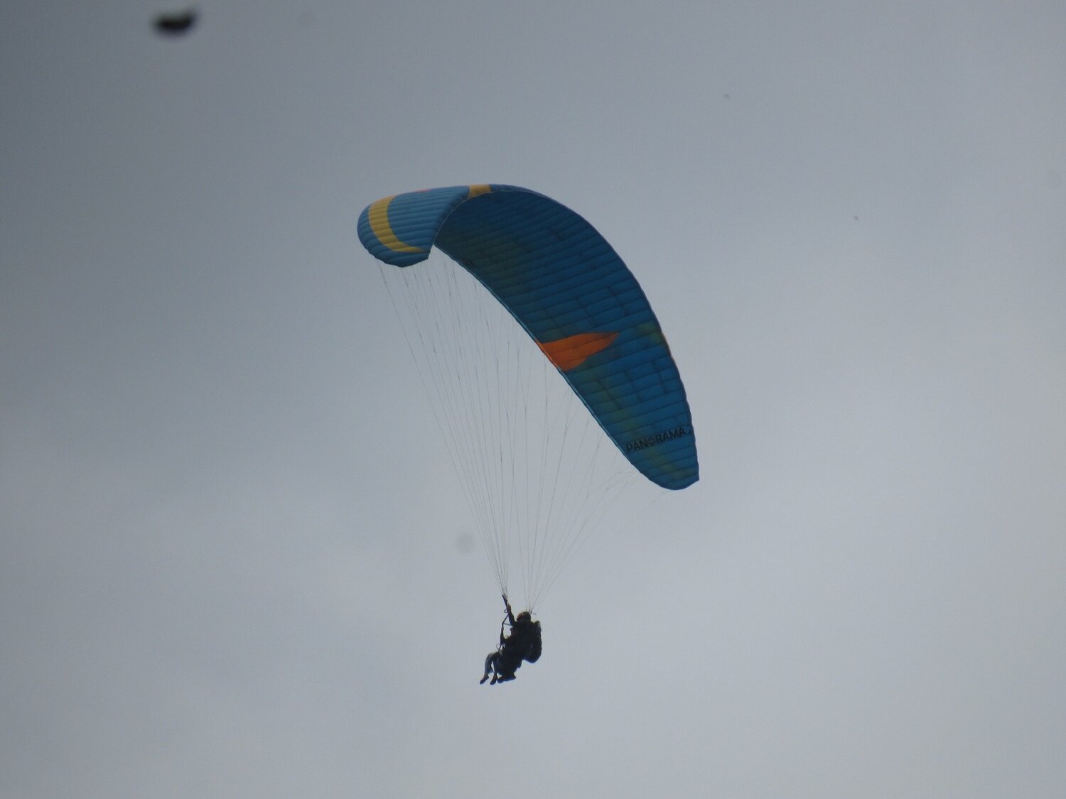 Photo #13658869