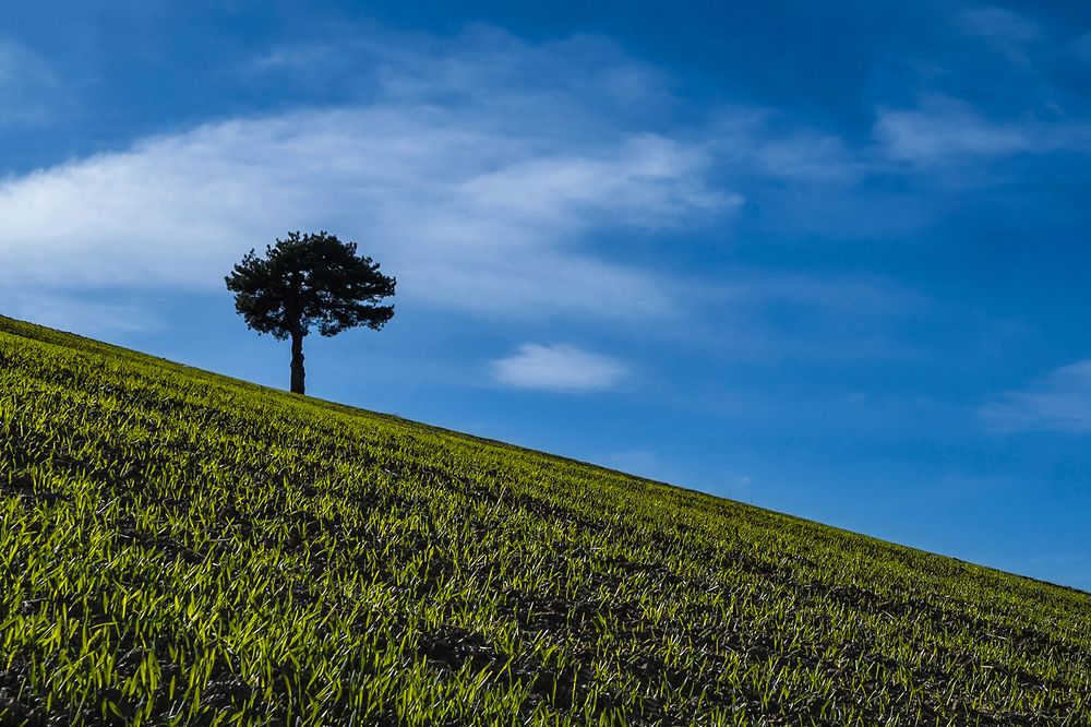 Photograph by Ömer Sarıtas
