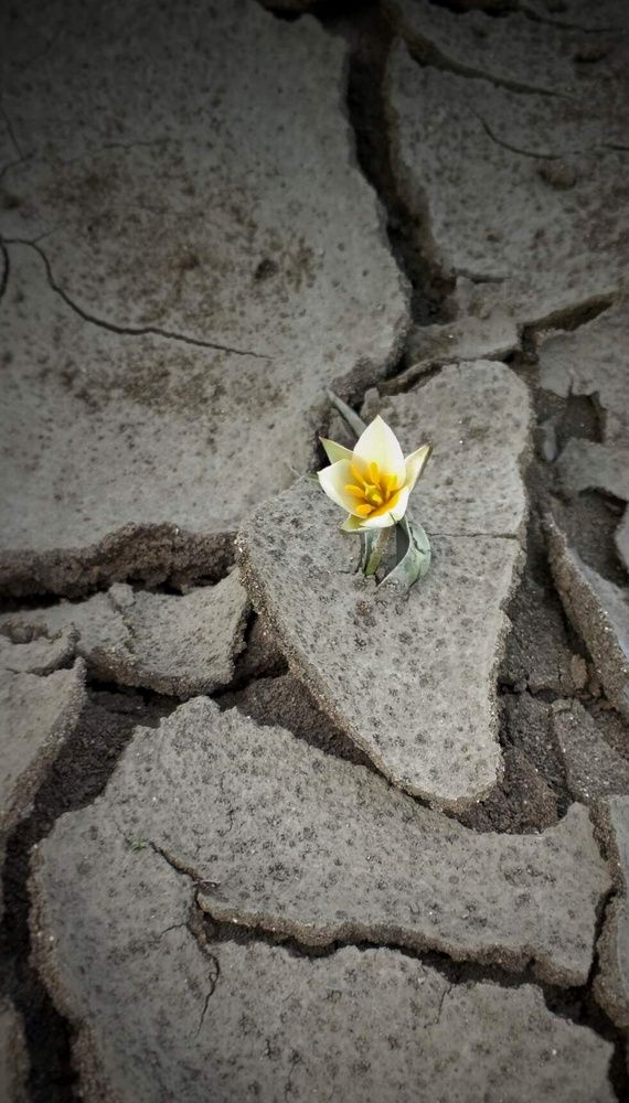 Photograph by Ольга Куцева