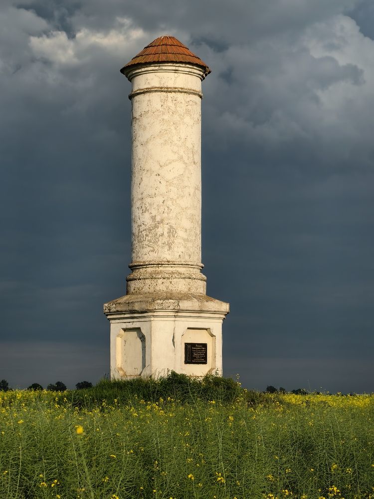 Фотография автора Ольга Панасюк