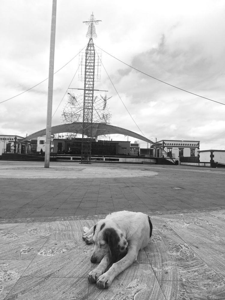Photograph by Diego Cesar Monroy Chaparro