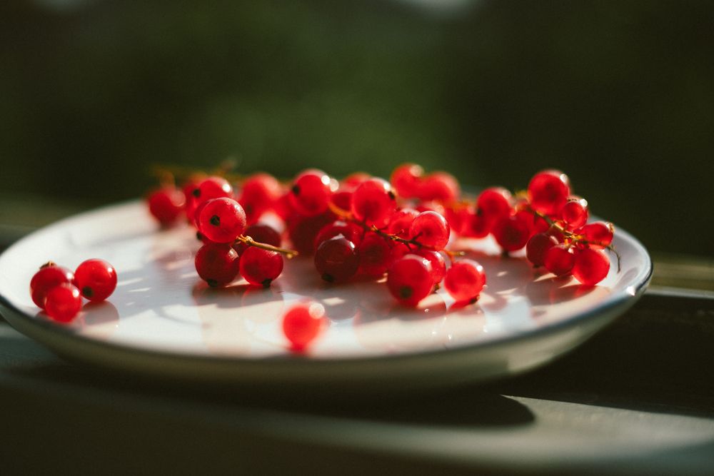 Photograph by Julia Smilovitsky