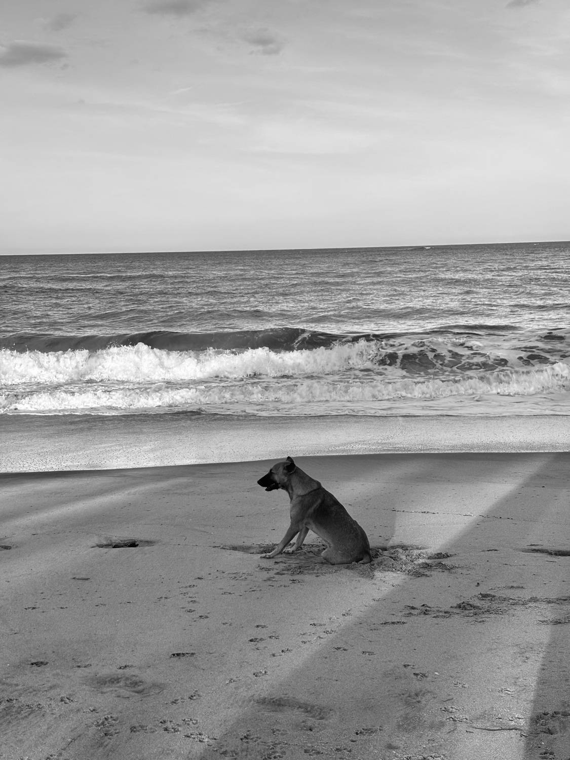 Photo #13658914