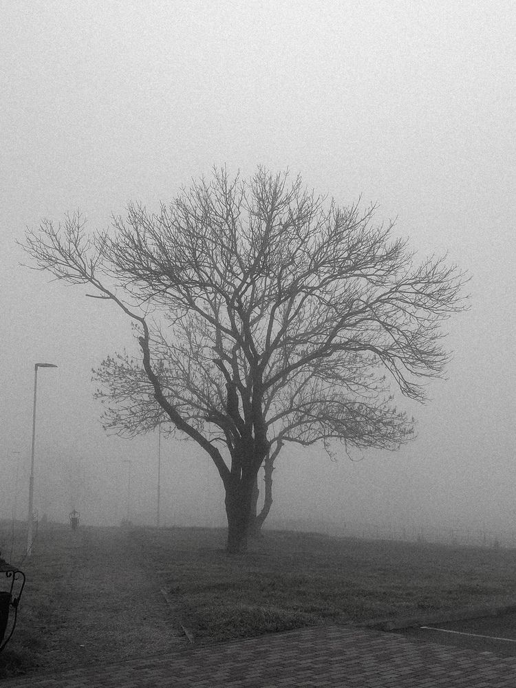 Photograph by Наталия Соболева