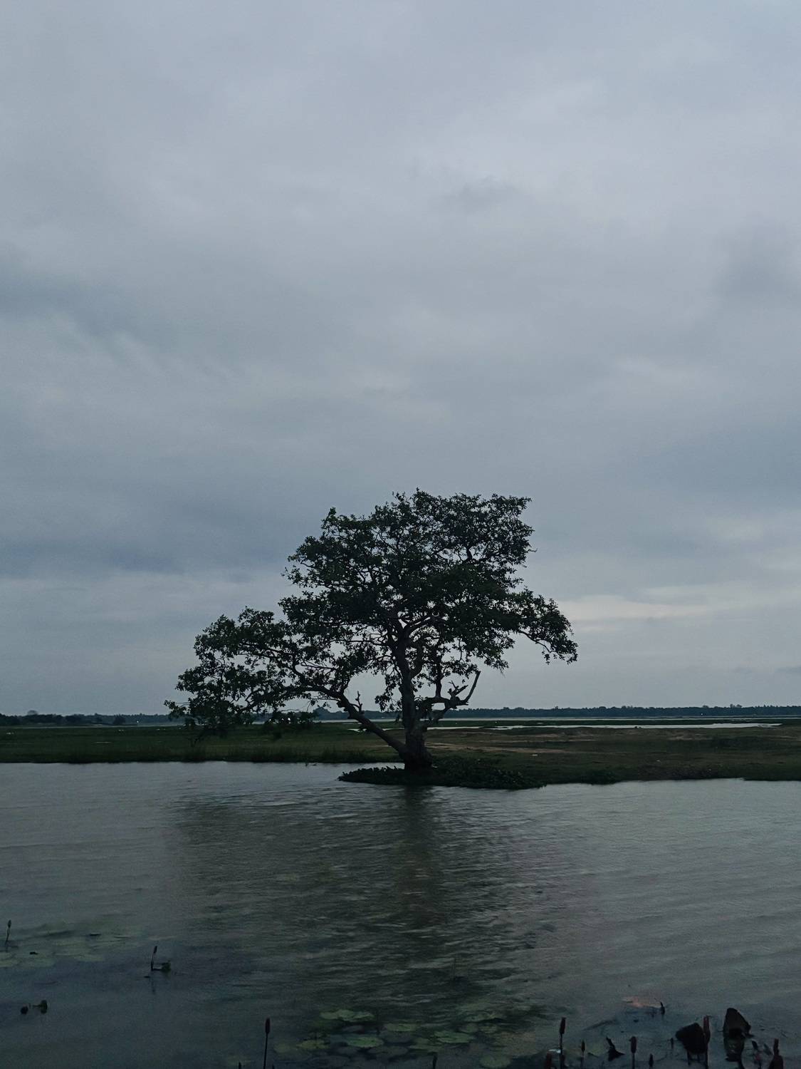 Photo #13658918