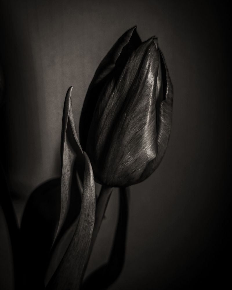 Photograph by Наталия Соболева