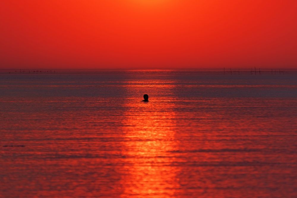 Photograph by Михаил Косолапов