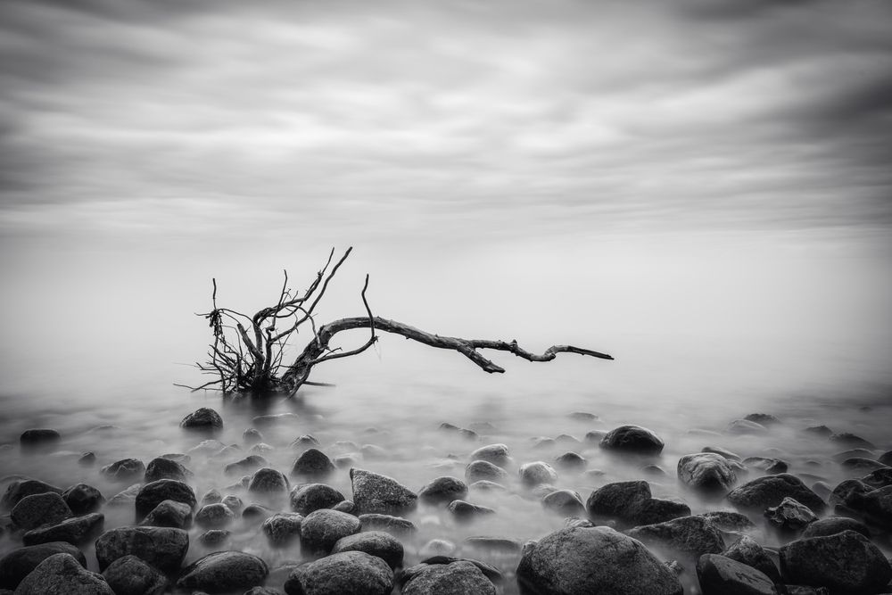 Photograph by Al Ali Abdulrazzak