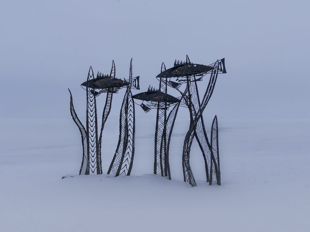 Photograph by Александр Порохов