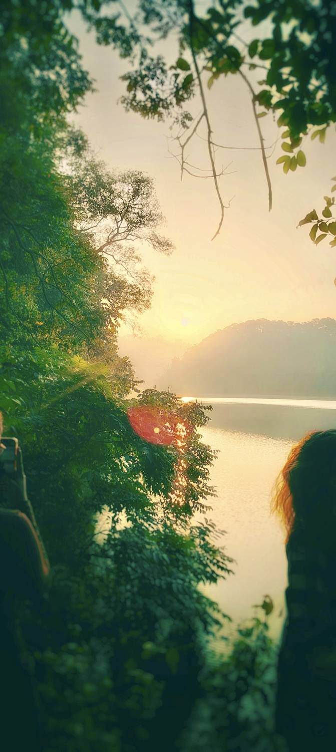 Photo #13659309