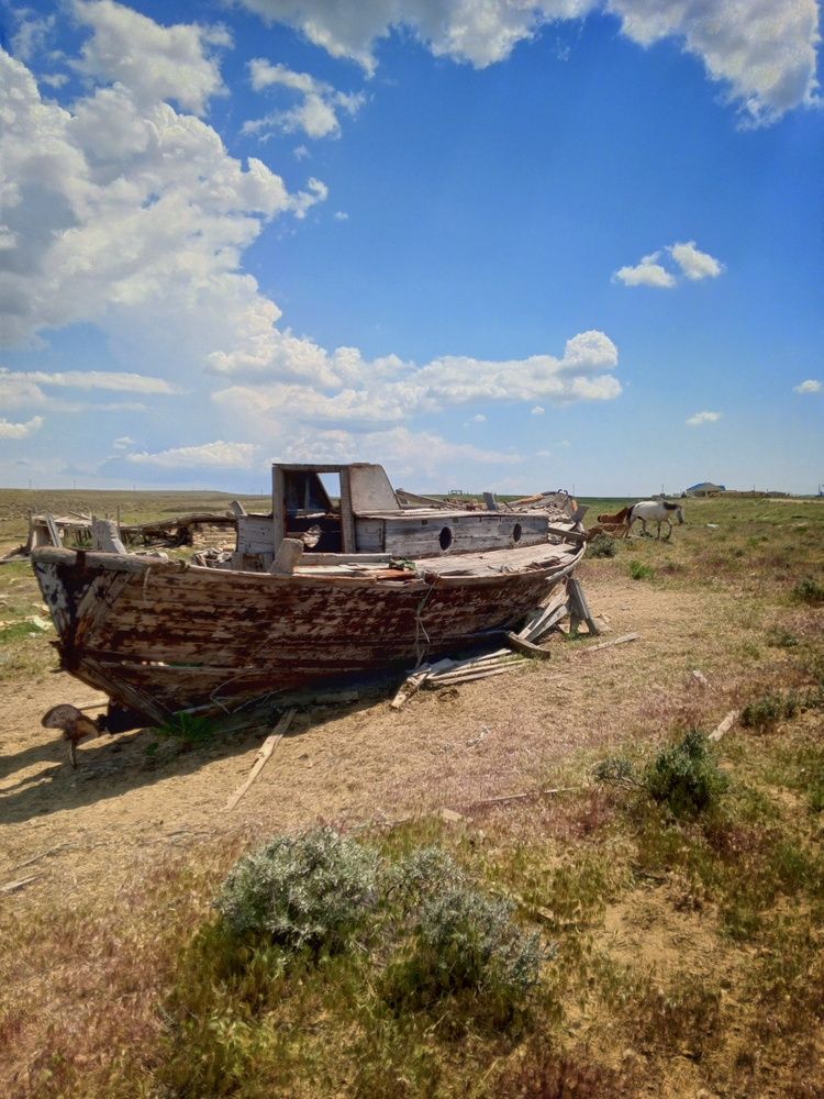 Photograph by Ольга Куцева