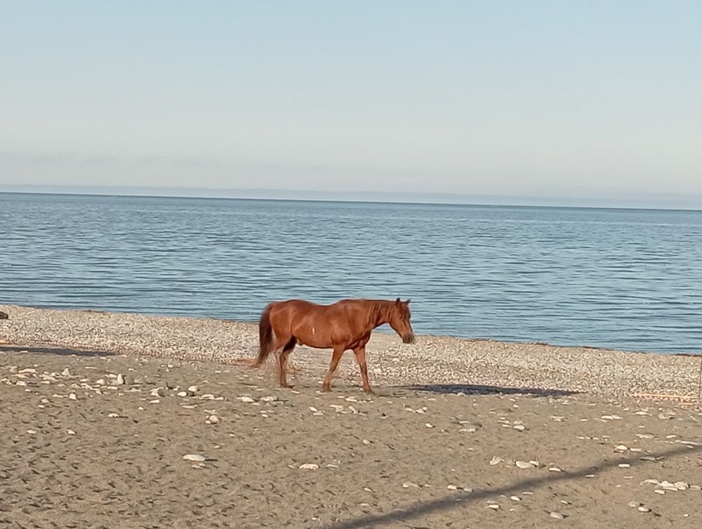 Photograph by Елена Клят