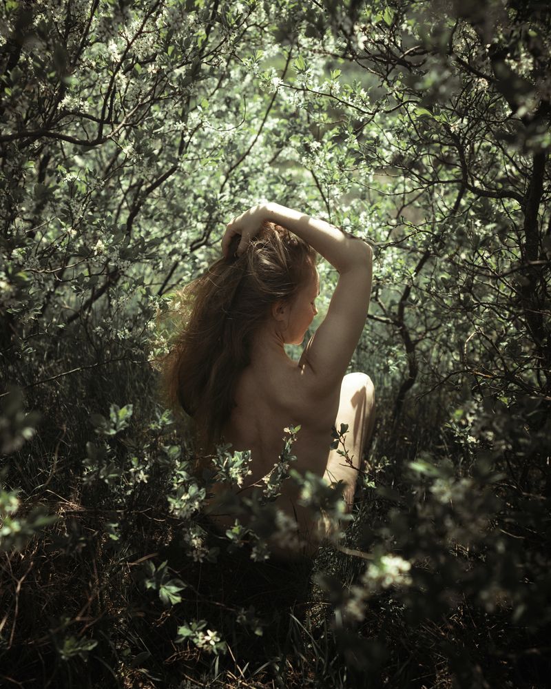 Photograph by Салихов Максим