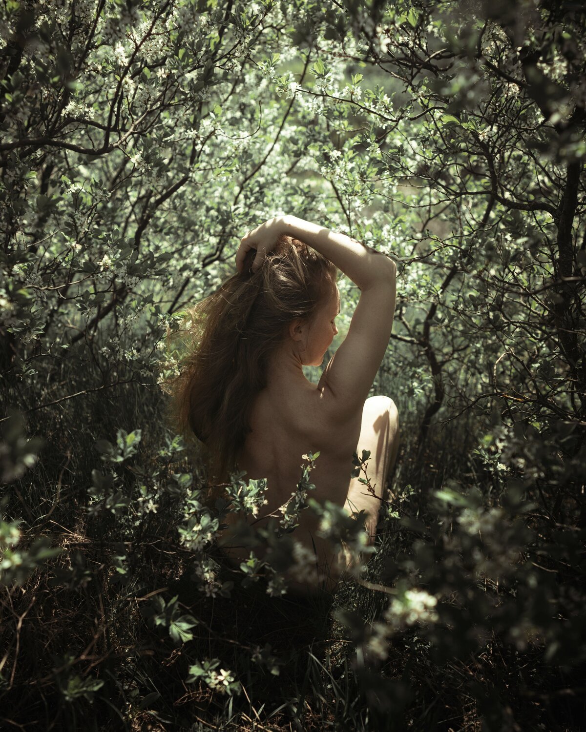 Photo #13659343