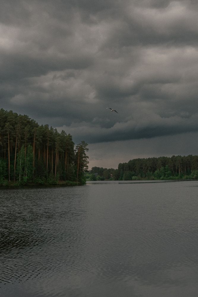 Photograph by Sergei Lysov