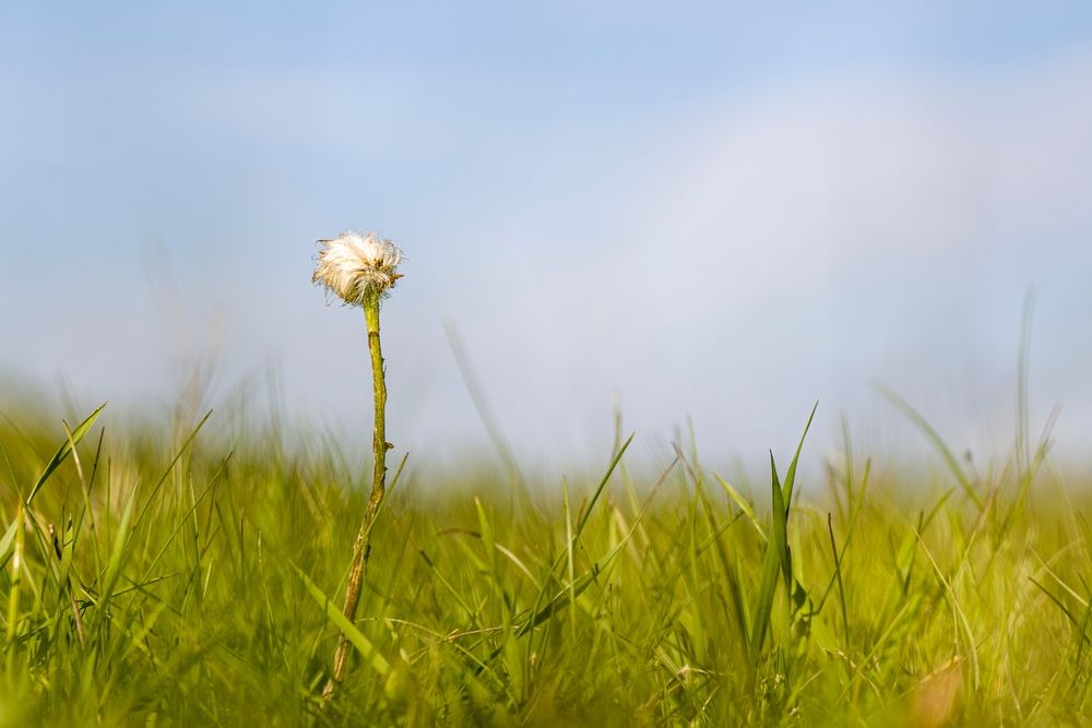 Photograph by Ридель Натали