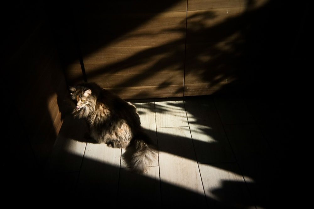 Photograph by Таня Фиш