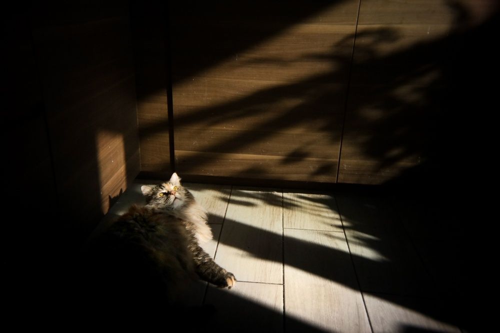 Photograph by Таня Фиш