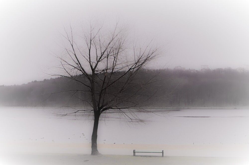 Photograph by Yuri Afanasyev