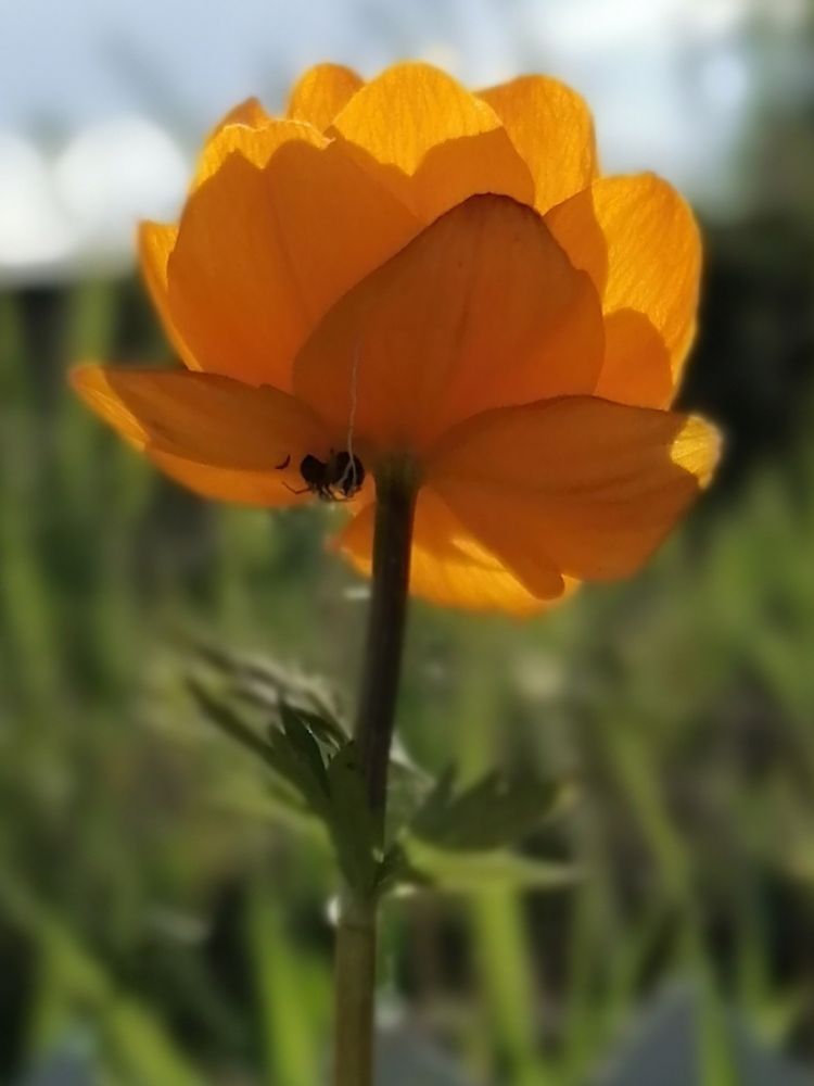 Photograph by Анна Петренко