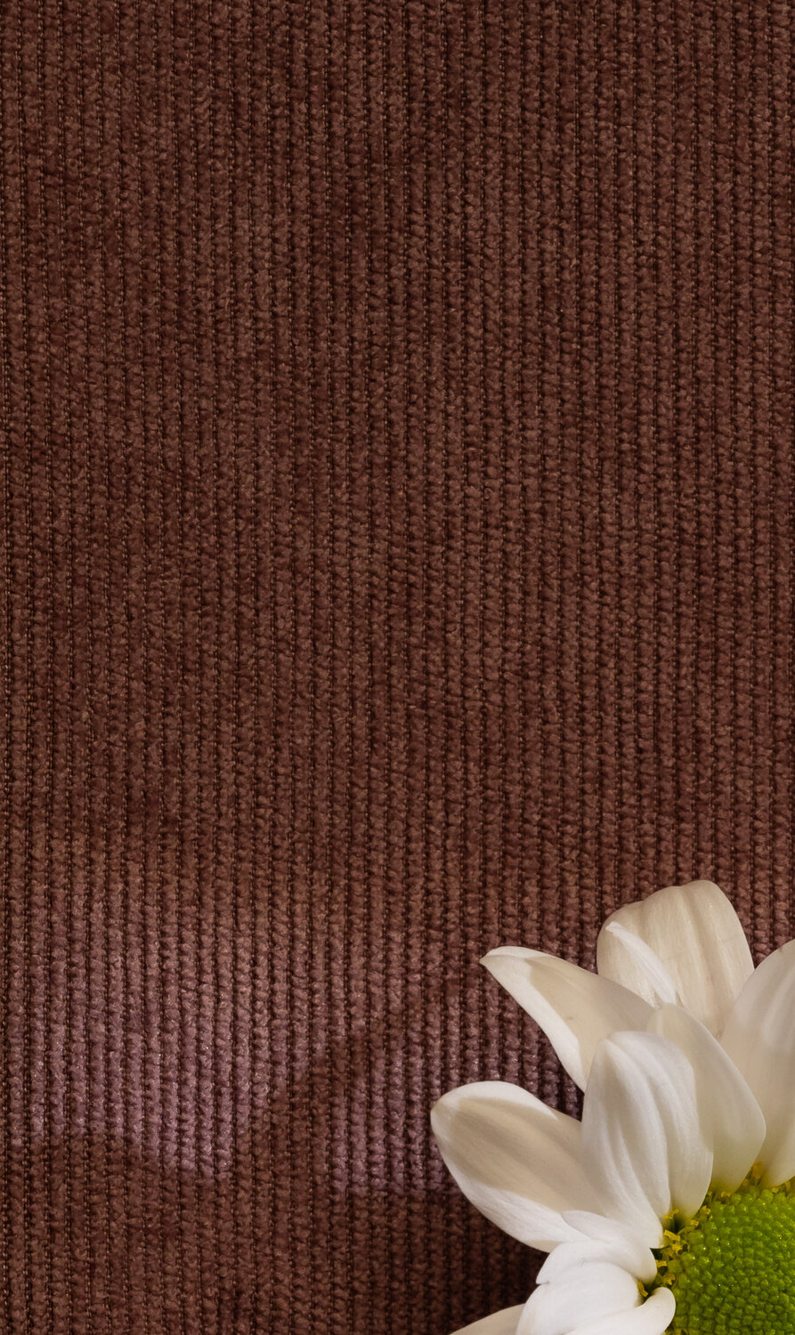 Photo #13659720