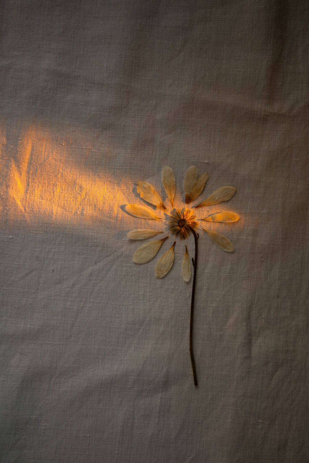 Photo #13659726