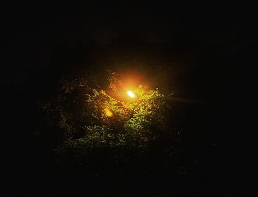 Photograph by Raakeshwari M