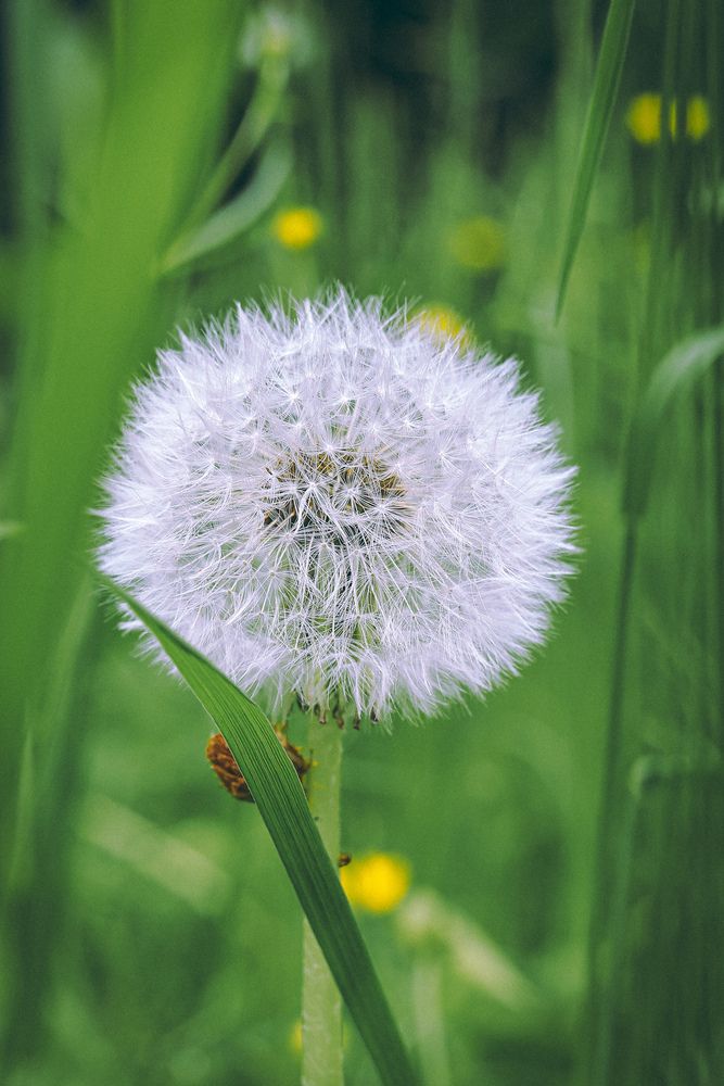 Photograph by Таня Фиш