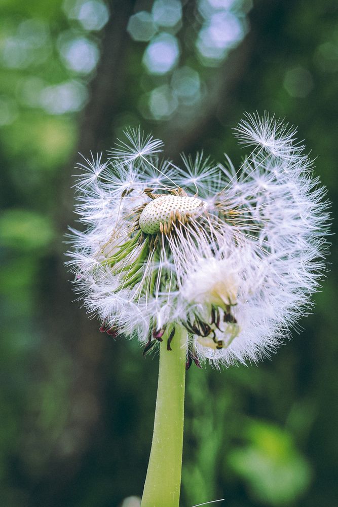 Photograph by Таня Фиш