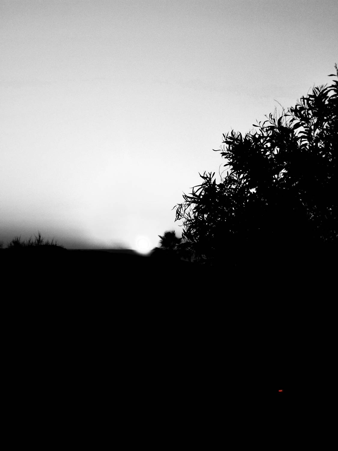 Photo #13659861
