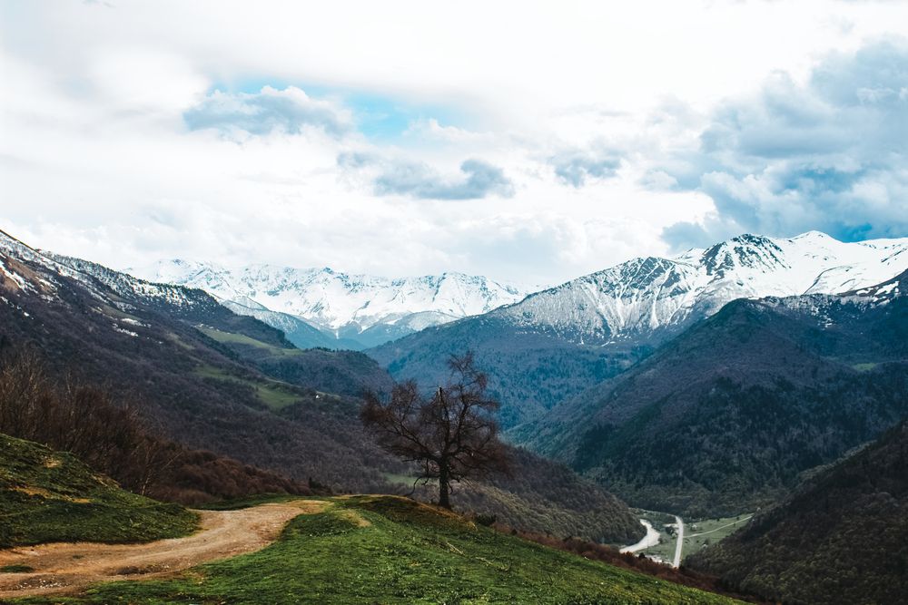 Photograph by Виктория