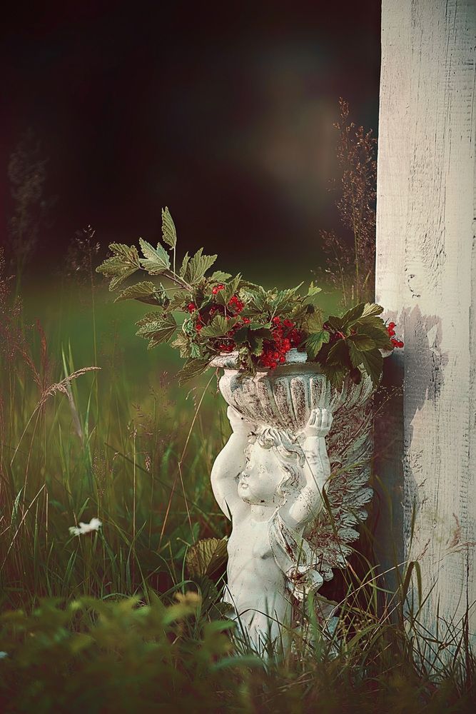 Photograph by Ирина Гиман (Гусева)