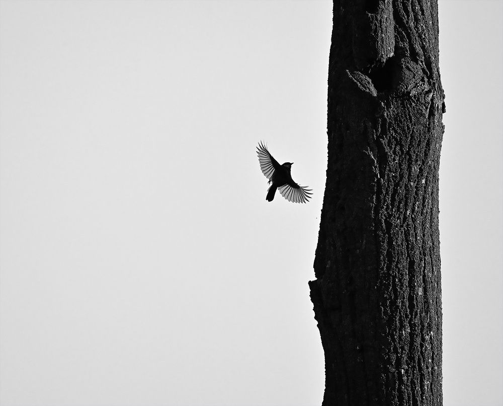 Photograph by Дмитрий Ткаченко