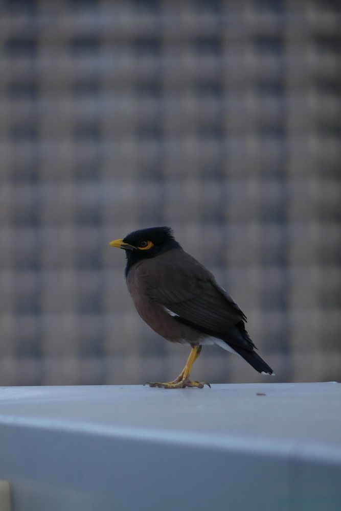 Photograph by Binyamin Waldayes