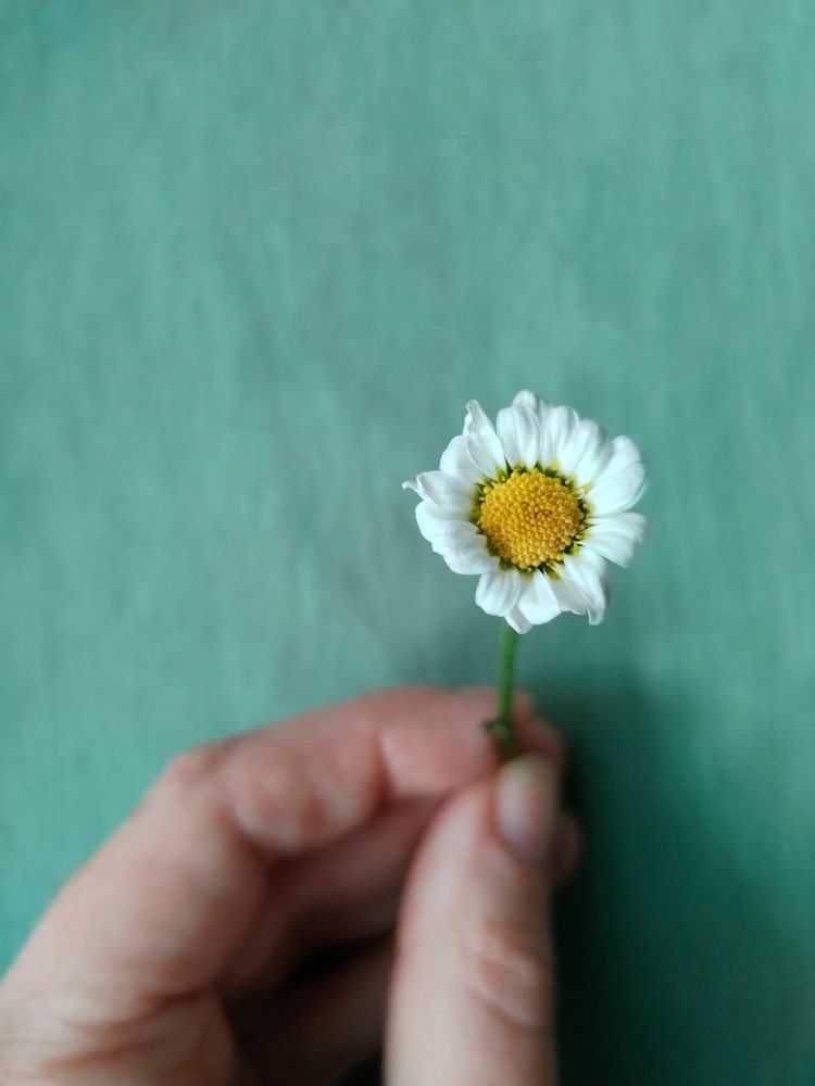 Photograph by Алёна Кибичеева