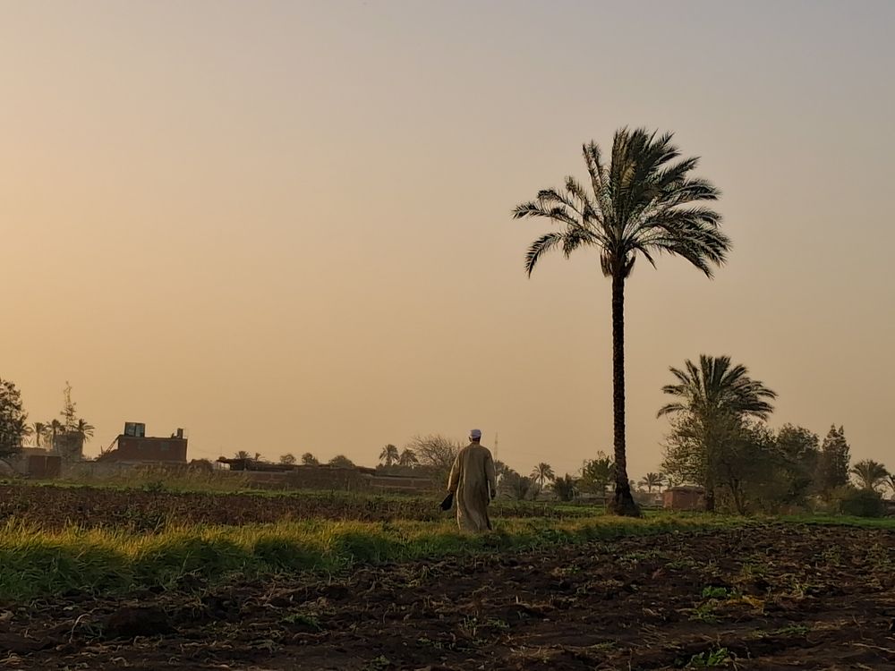 Photograph by على اشرف محمد عبد الجواد شعبان