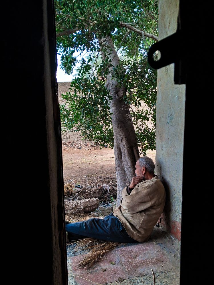 Photograph by على اشرف محمد عبد الجواد شعبان