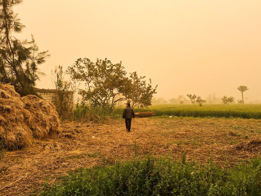 Photograph by على اشرف محمد عبد الجواد شعبان