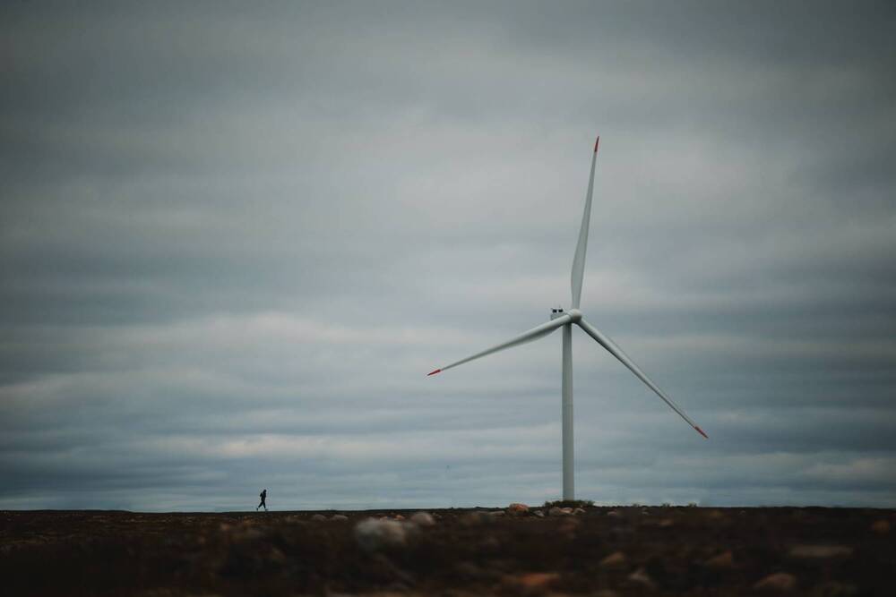 Against the Wind